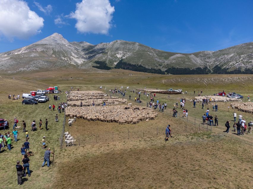 Rassegna degli Ovini, Ballone: “Un appuntamento identitario per il Gran Sasso”