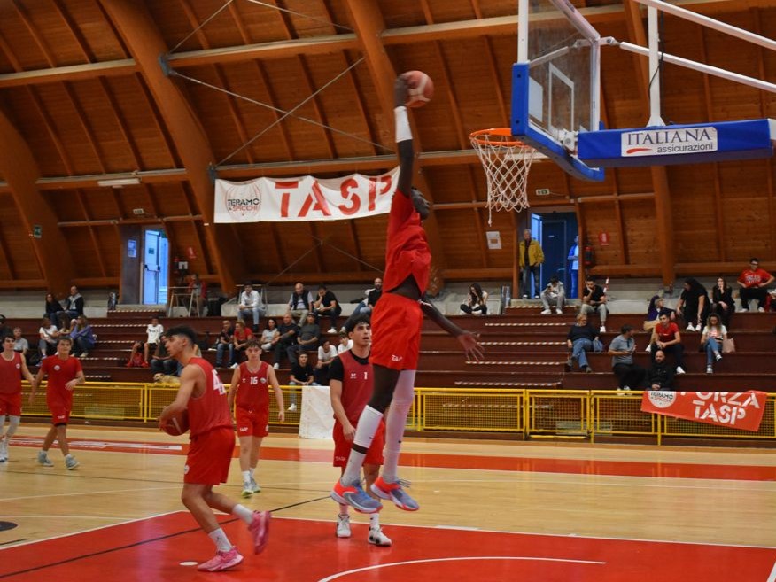 Basket. Tasp Mediterranea vs Bramante Pesaro. Il commento di coach Stirpe