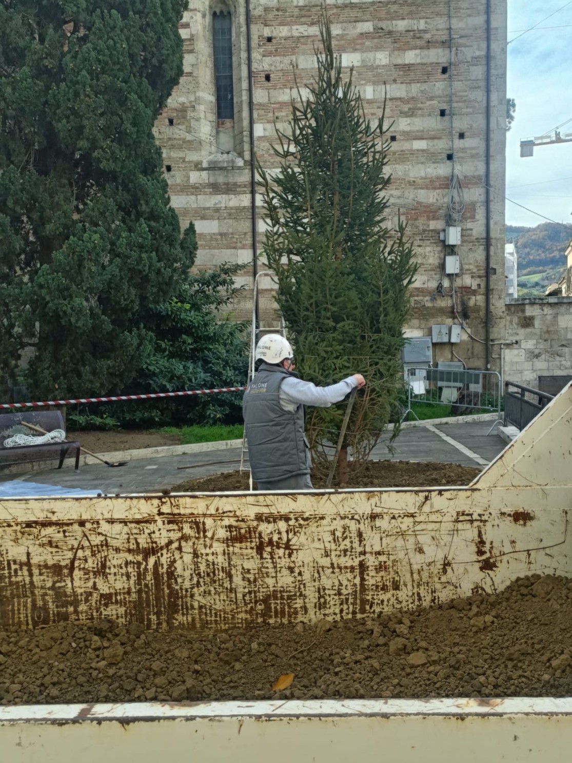 A piazza Martiri torna l’albero. E per il corso una cascata di luci