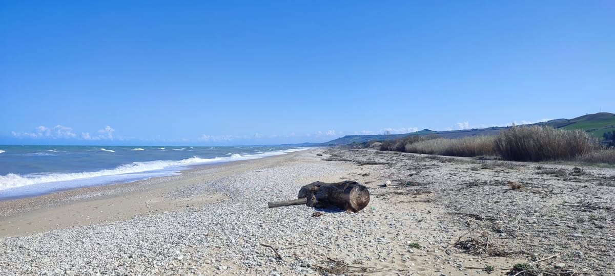 Il Forum H2O: “L’emendamento sul Demanio Marittimo di Pescara è irregolare e rischia una corsa al ribasso tra i comuni”