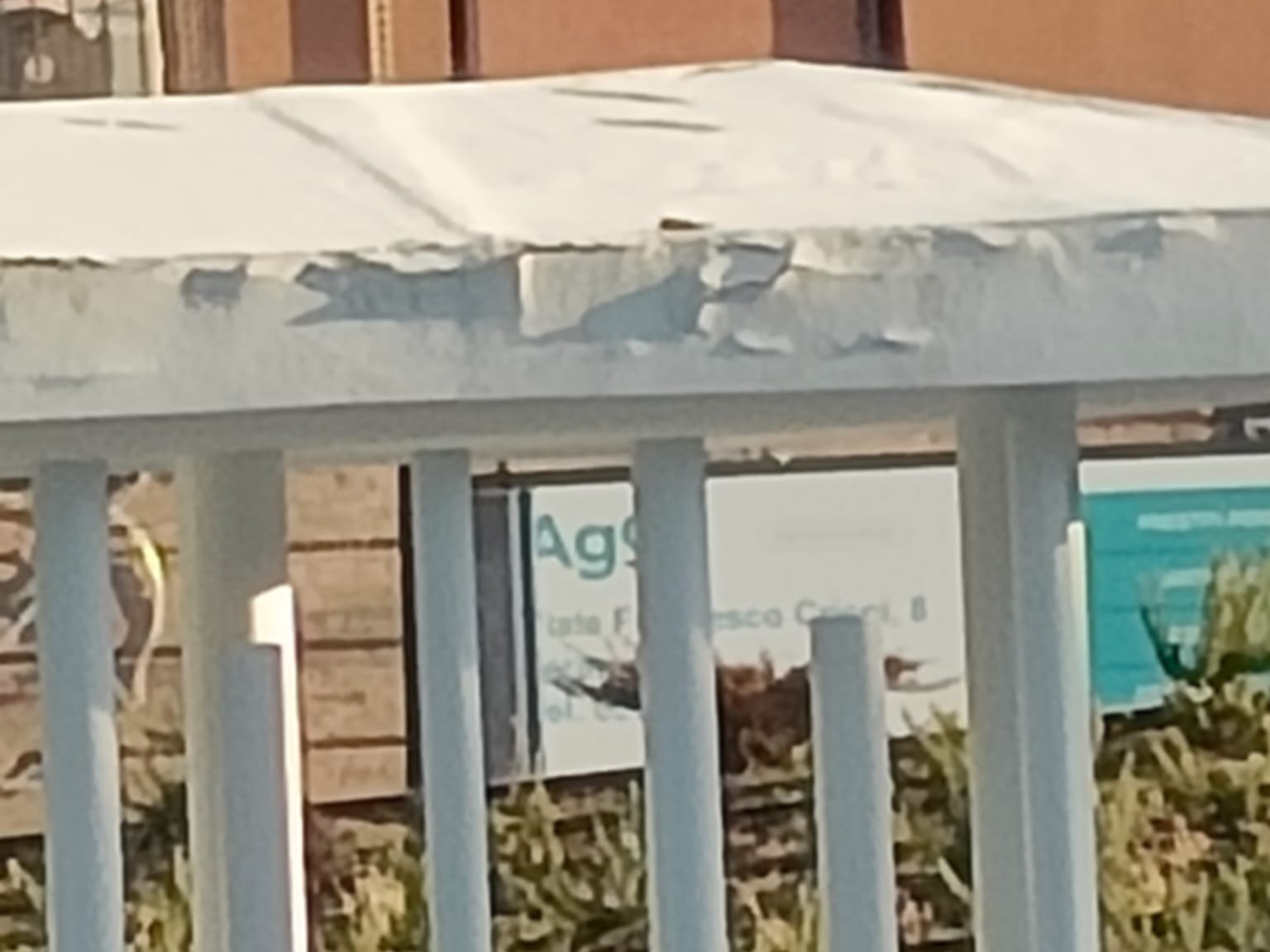 Quando la toppa è peggio del buco: infiltrazioni nelle coperture delle pensiline di Piazza Garibaldi. Scrive l’architetto