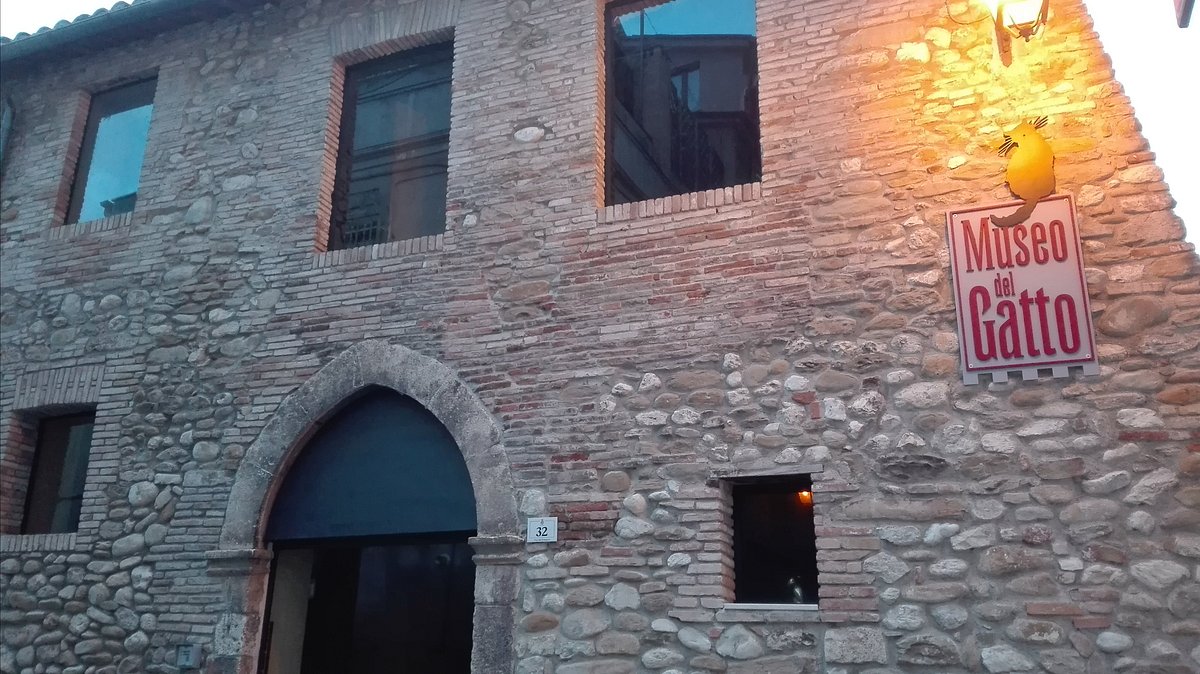 Museo del Gatto: “Una vittima dell’Inerzia istituzionale”