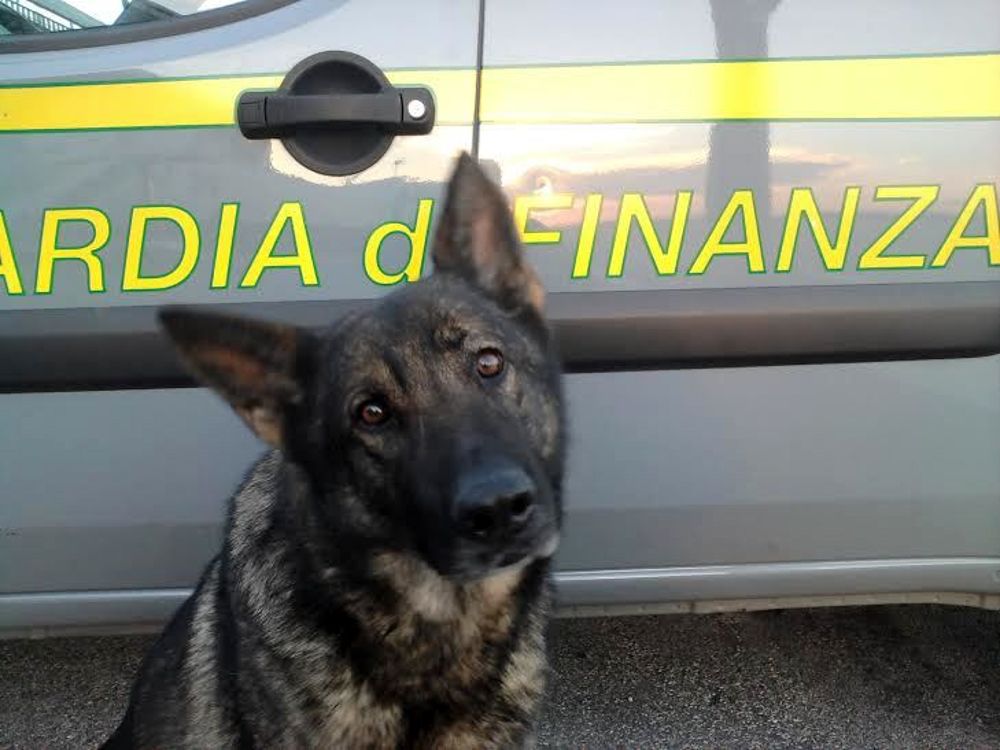 Operazione antidroga a Pescara: arrestati tre giovani con un chilo di cocaina
