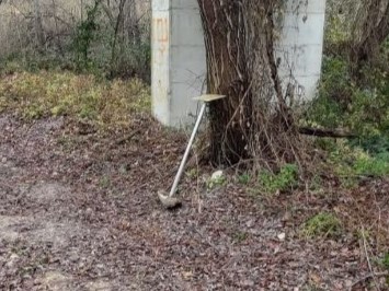 Vandali Colpiscono le Targhe Commemorative della Festa dei Nonni a Teramo