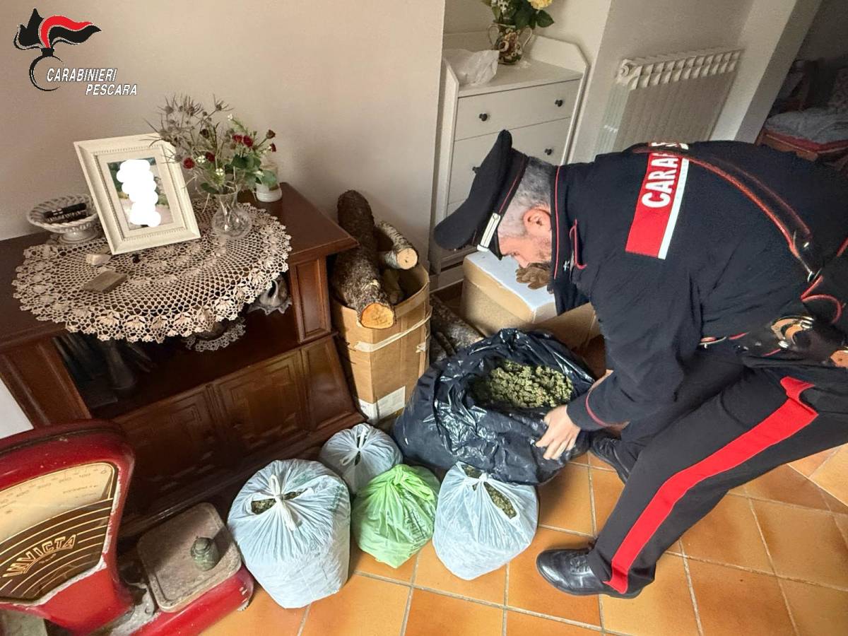 Cortino: 20 chili di marijuana sequestrati a un 56enne. Arrestato