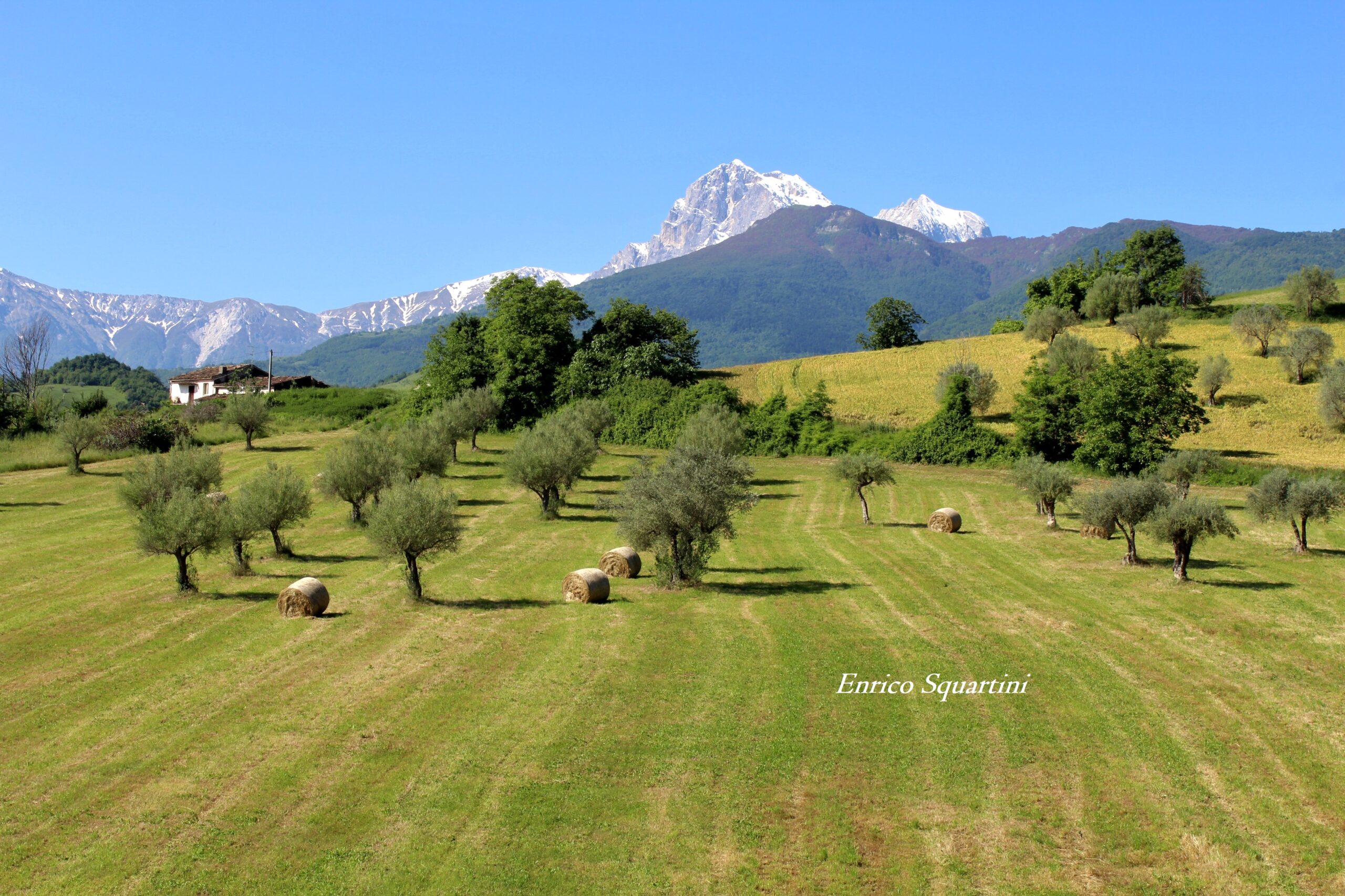 Abruzzo: due milioni di euro per la formazione e l’innovazione nel settore agricolo e forestale