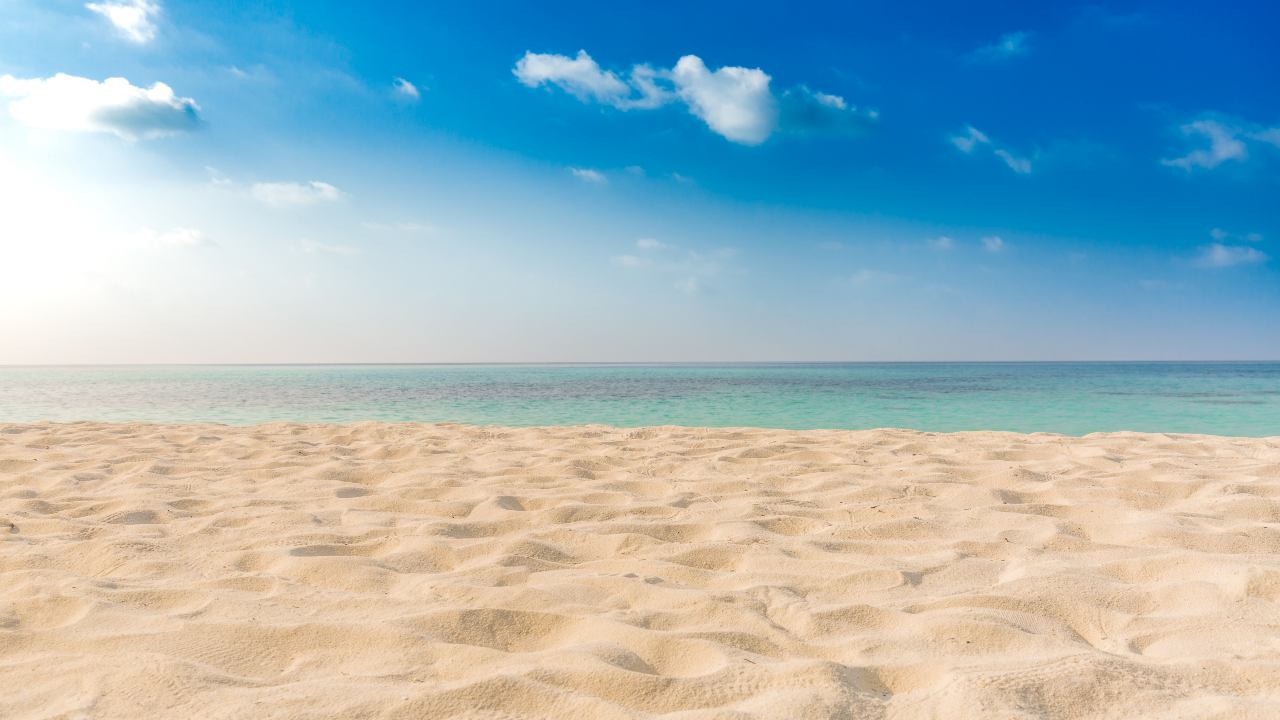 Ultim’ora: Montesilvano. Il corpo senza vita di una donna trovato sul lungomare tra Pescara e Montesilvano