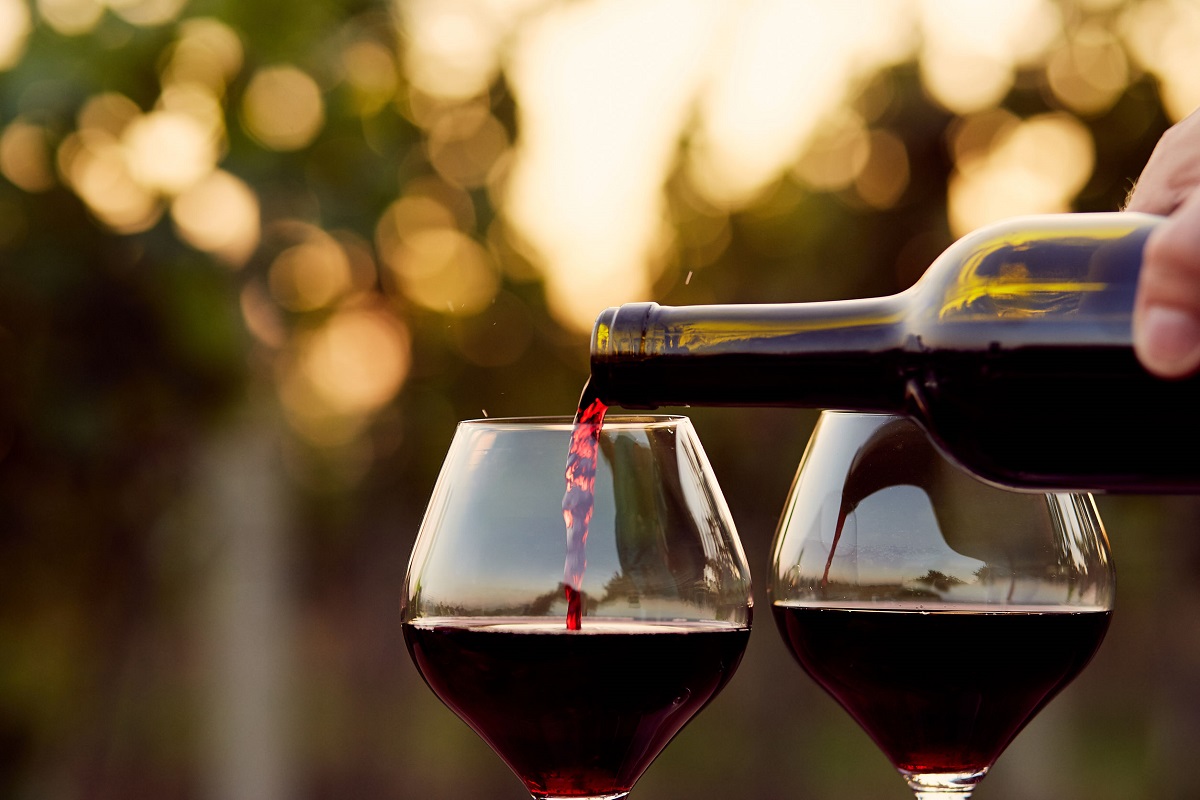L’export dei vini traina l’economia abruzzese: Un Settore in Crescita Sostenibile e Competitiva
