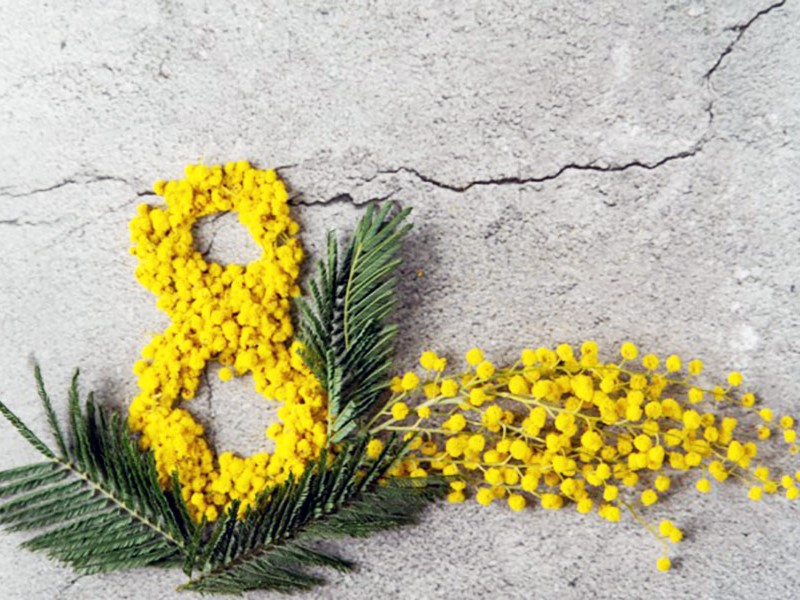 8 marzo, Giornata della Donna