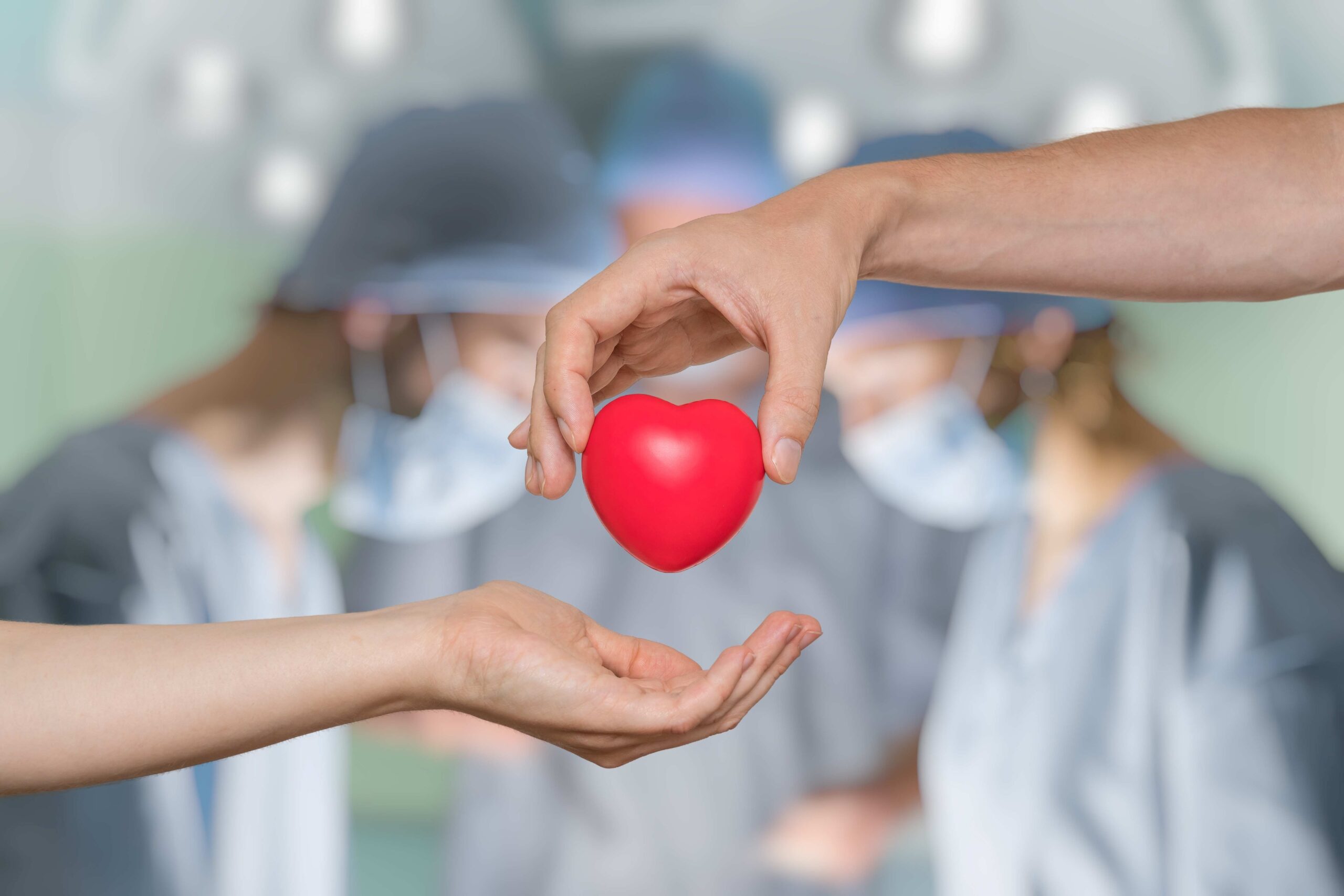 Decide prima di morire di donare gli organi. E da Stanotte grazie a lei tre persone guardano con rinnovata gioia alla vita