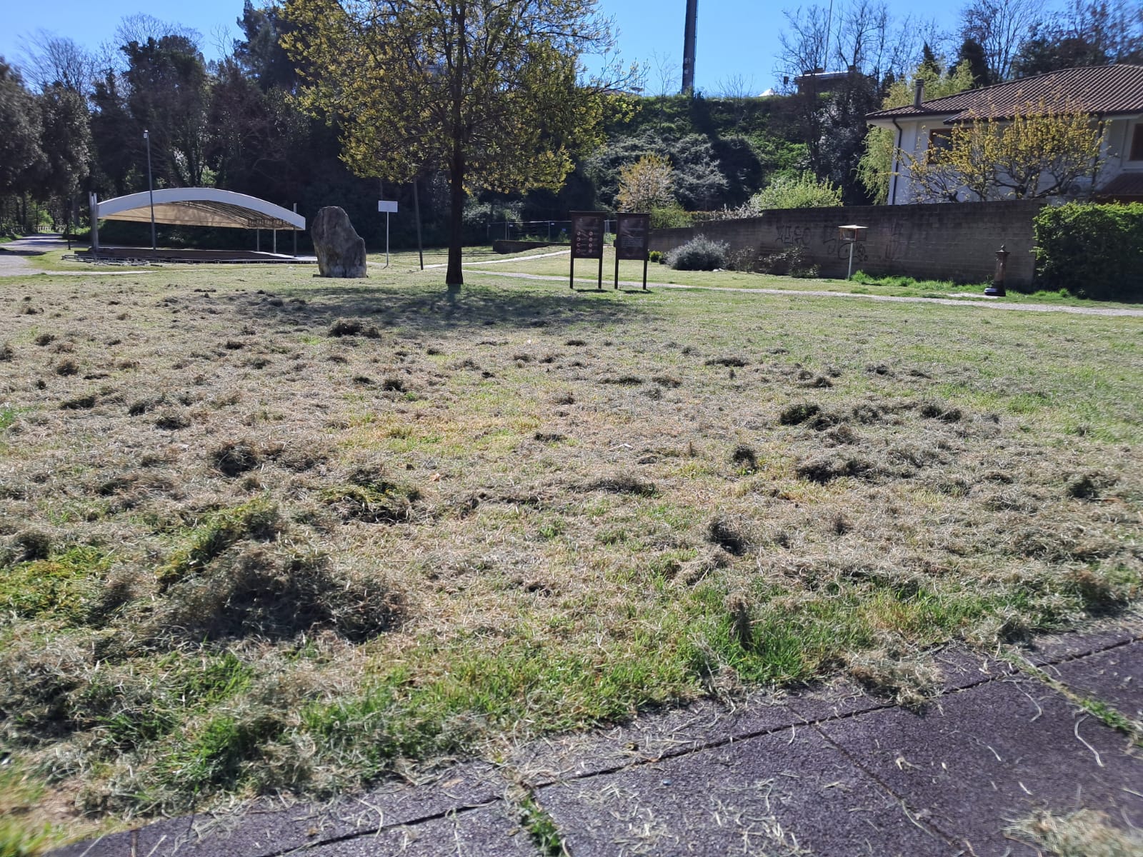 Un lettore: “Erba sfalciata e non raccolta al Parco Fluviale. Rischio di allergie e zecche”