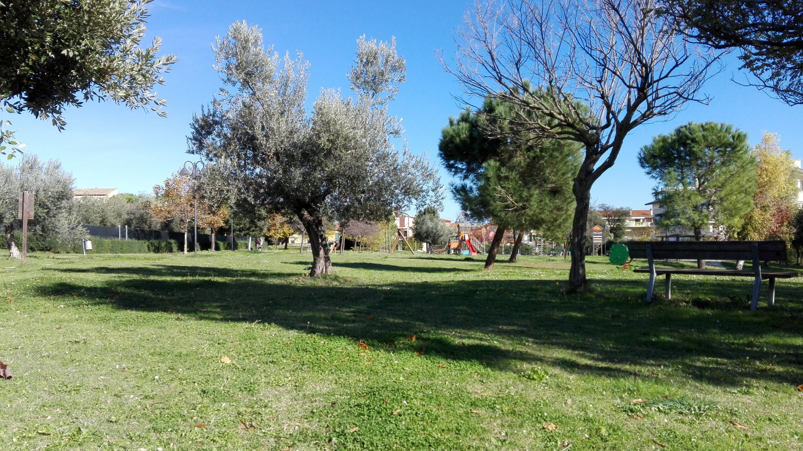 Aggressione a Minorenne nel Parco Cerasari di Giulianova: Indagini in Corso