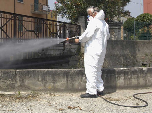 Giovedì 17 aprile, derattizzazione del territorio comunale