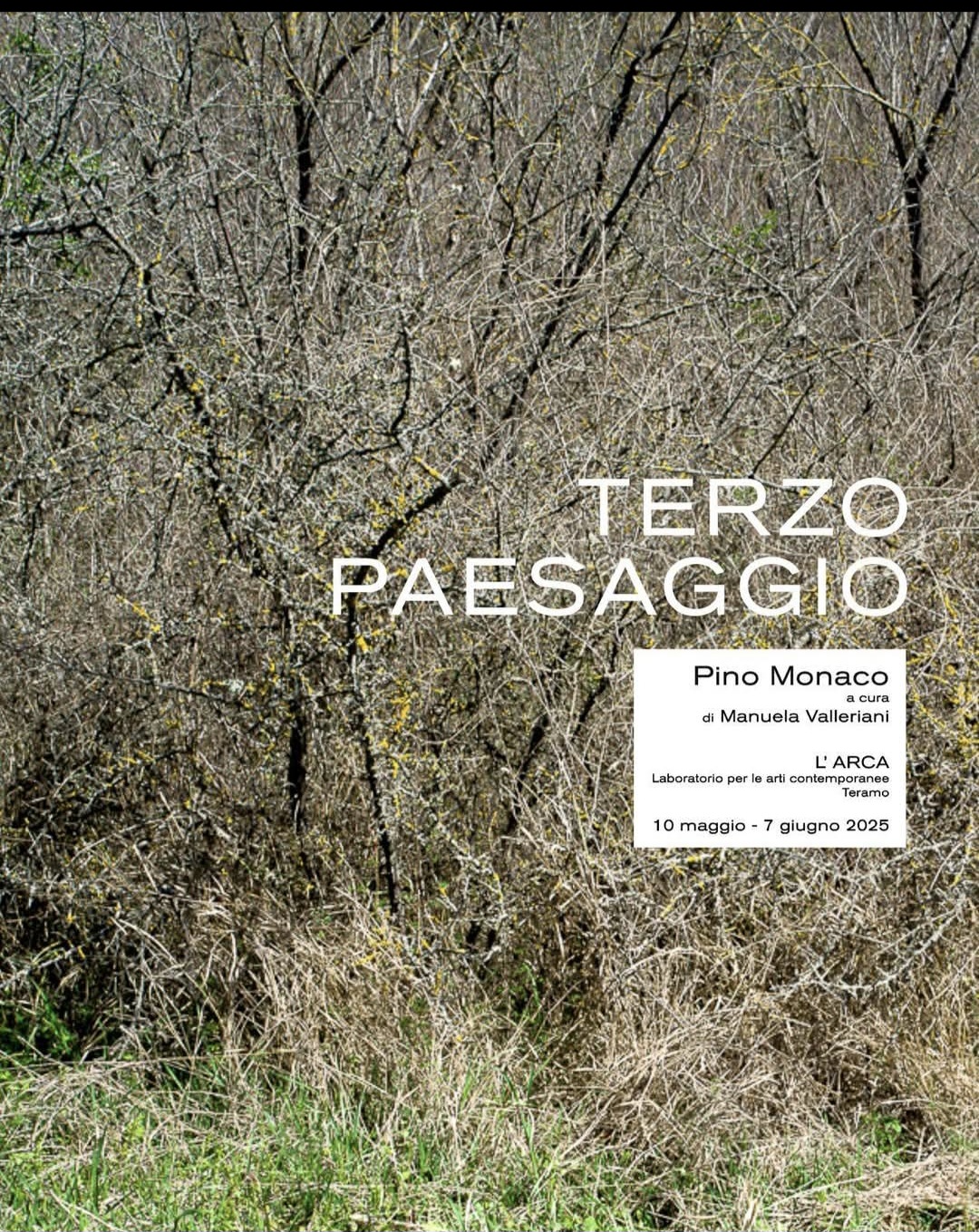 Dal 10 maggio al 7 giugno, Pino Monaco a L’ARCA