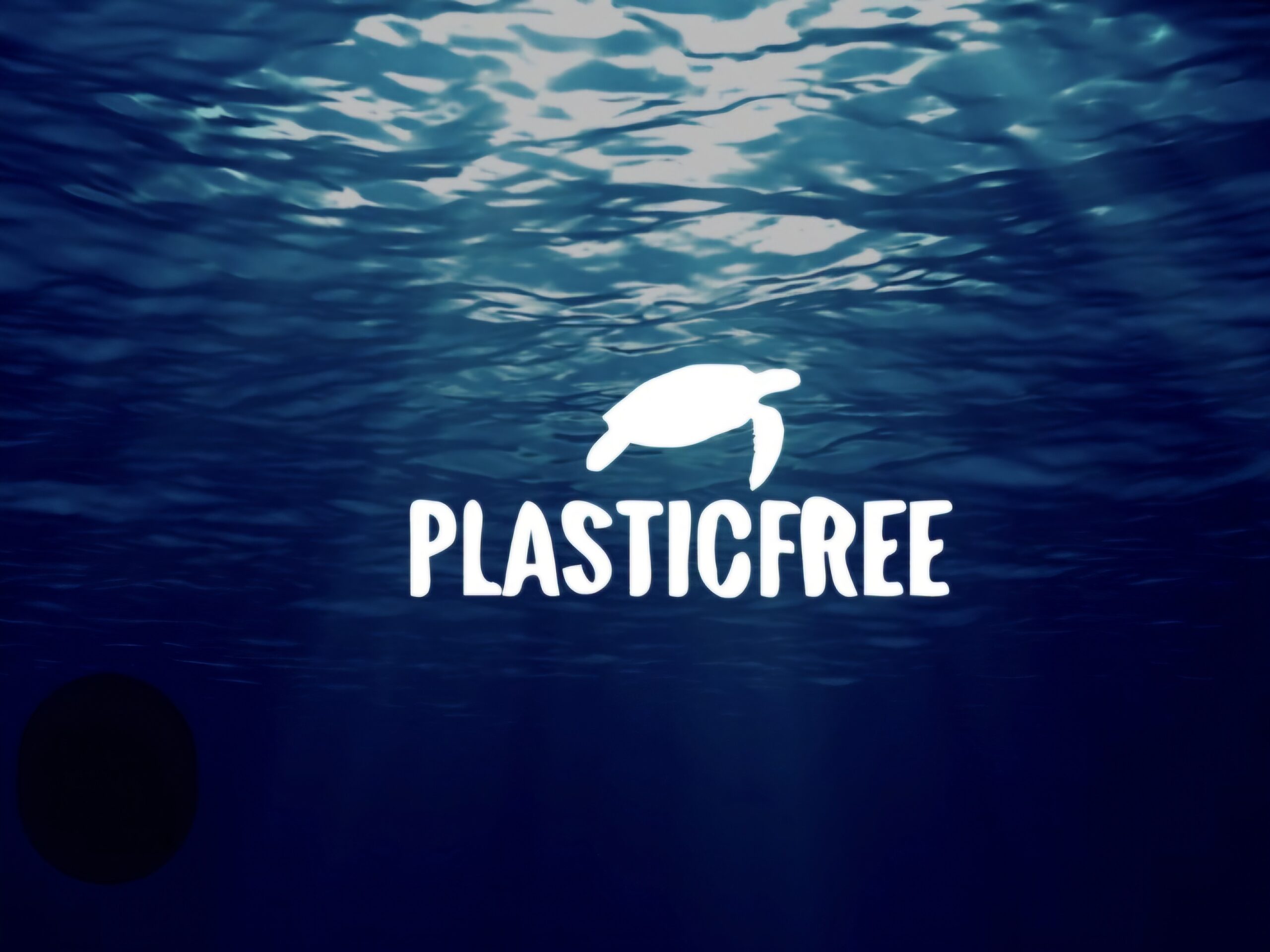 Teramo e Plastic Free: Rinnovato il Patto Triennale per un Ambiente più Pulito