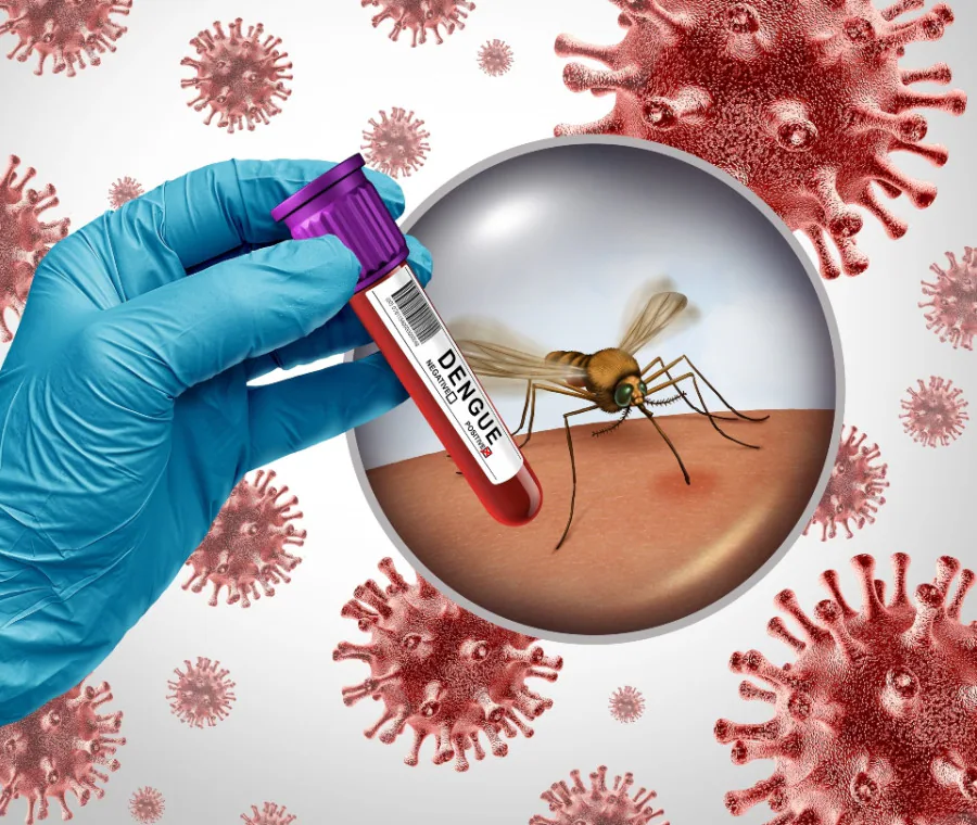 Un Caso di Dengue a Vasto: Scatta la Disinfestazione da Domani per Tre Notti
