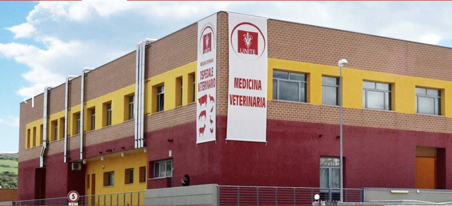 Veterinari Italiani Cercasi: Giornata di Reclutamento a Teramo per Germania, Olanda e Regno Unito