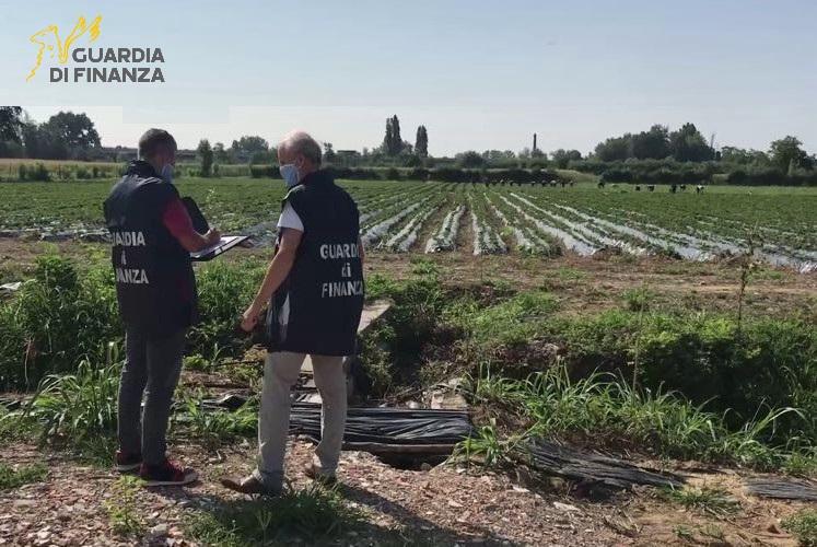 Caporalato nella Marsica: Un bilancio di irregolarità e sfruttamento