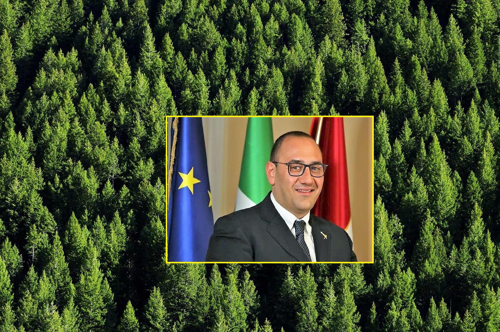 4 Milioni di Euro per la Salute delle Foreste Abruzzesi: Via al Bando Regionale per Prevenzione e Ripristino