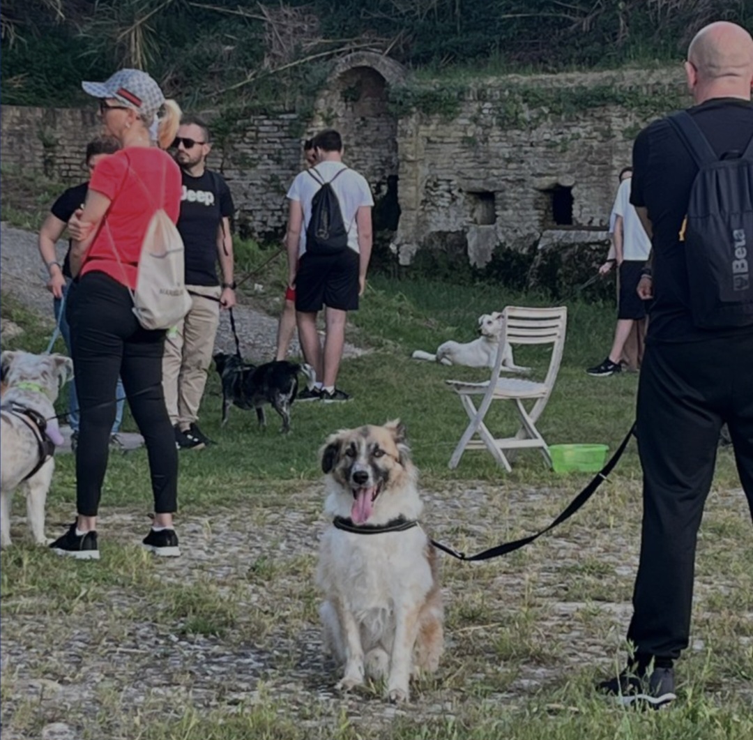 AREE PER CANI. IN APPROVAZIONE DOMANI IN CONSIGLIO A ROSETO