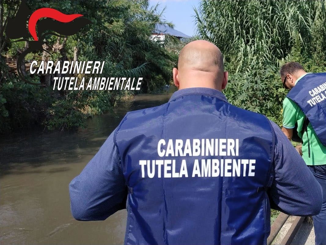 Sequestro di Rifiuti Speciali e Imprenditore Denunciato