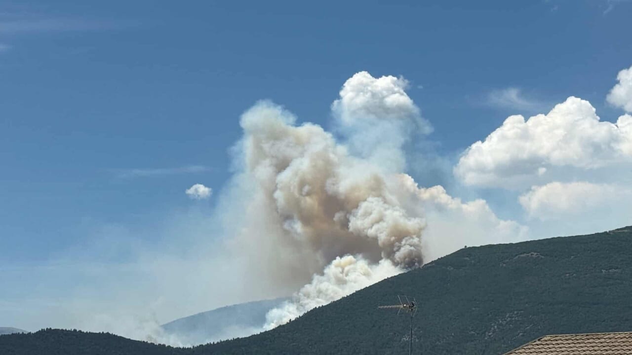 Per bruciare qualche ramo d’ulivo manda in fumo 200 ettari di bosco