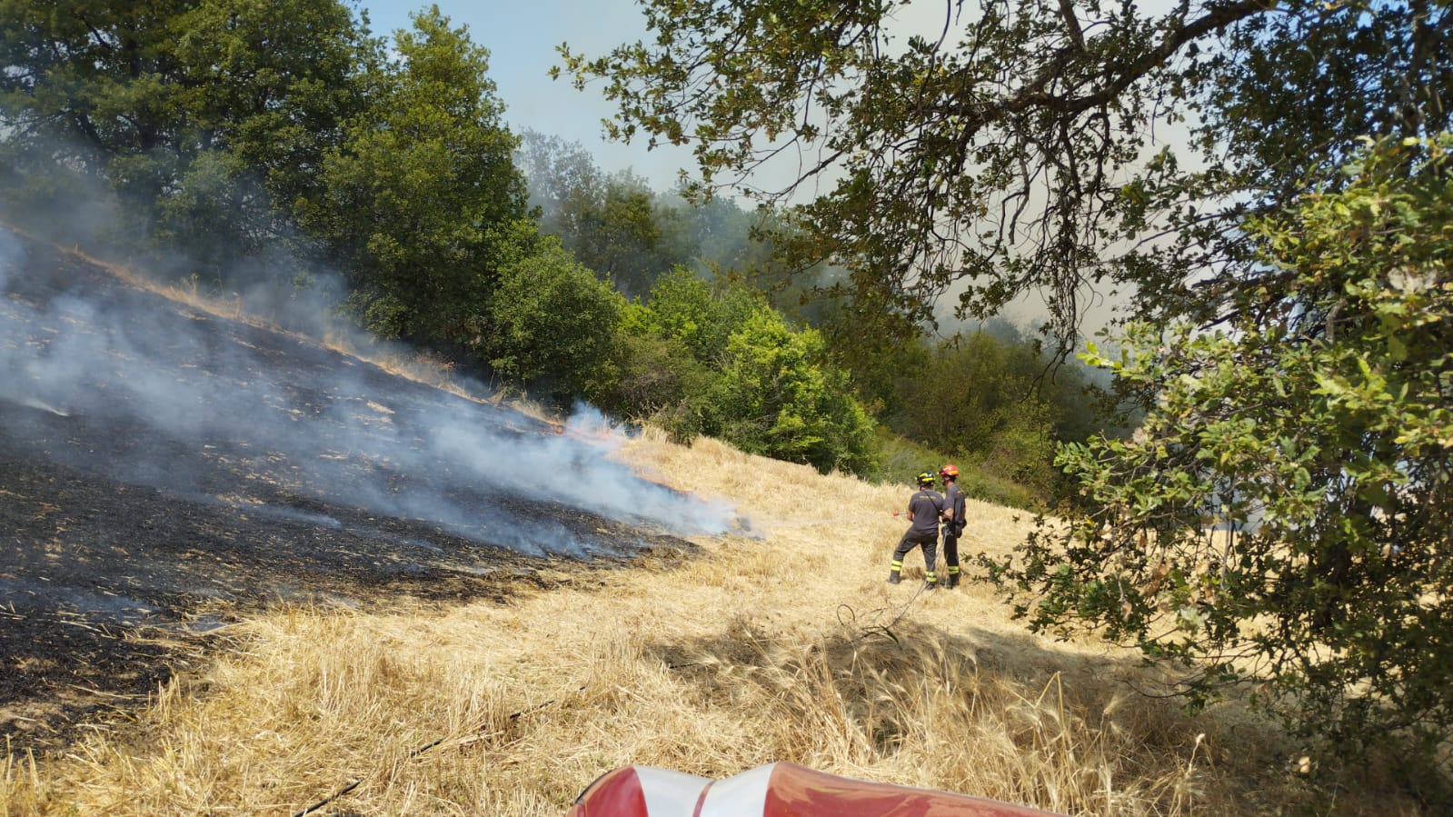 Provincia di Teramo colpita da incendi. Interventi a Basciano, Pineto e Silvi. Crollati due capannoni, minacciata un’abitazione