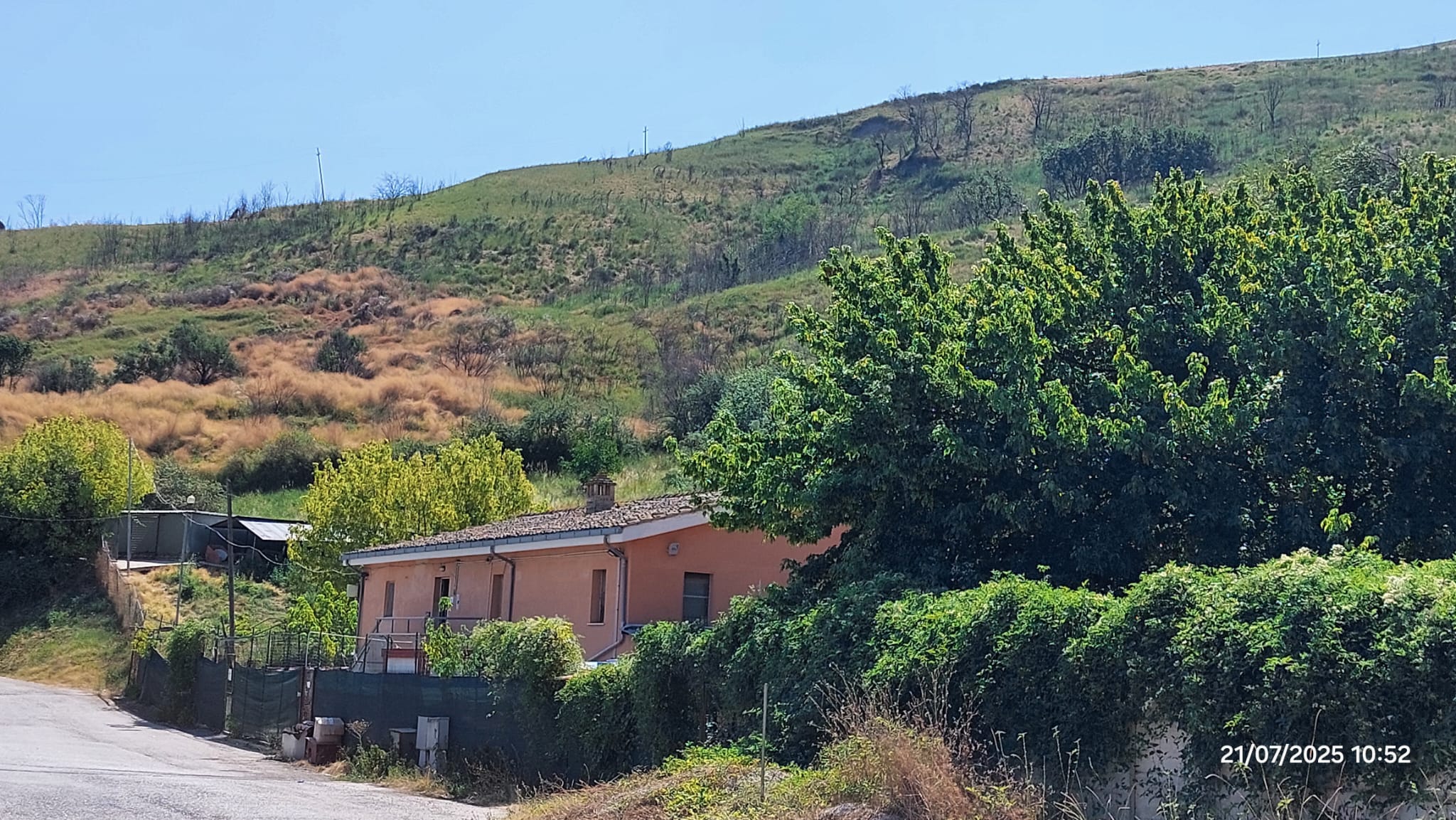 Teramo Vivi Città sul canile di Carapollo: “non è in sicurezza antincendio. Presenteremo denuncia”