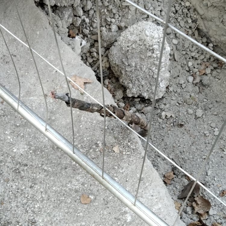 Teramo, Viale Bovio. Cavi telefonici recisi, protesta dei residenti