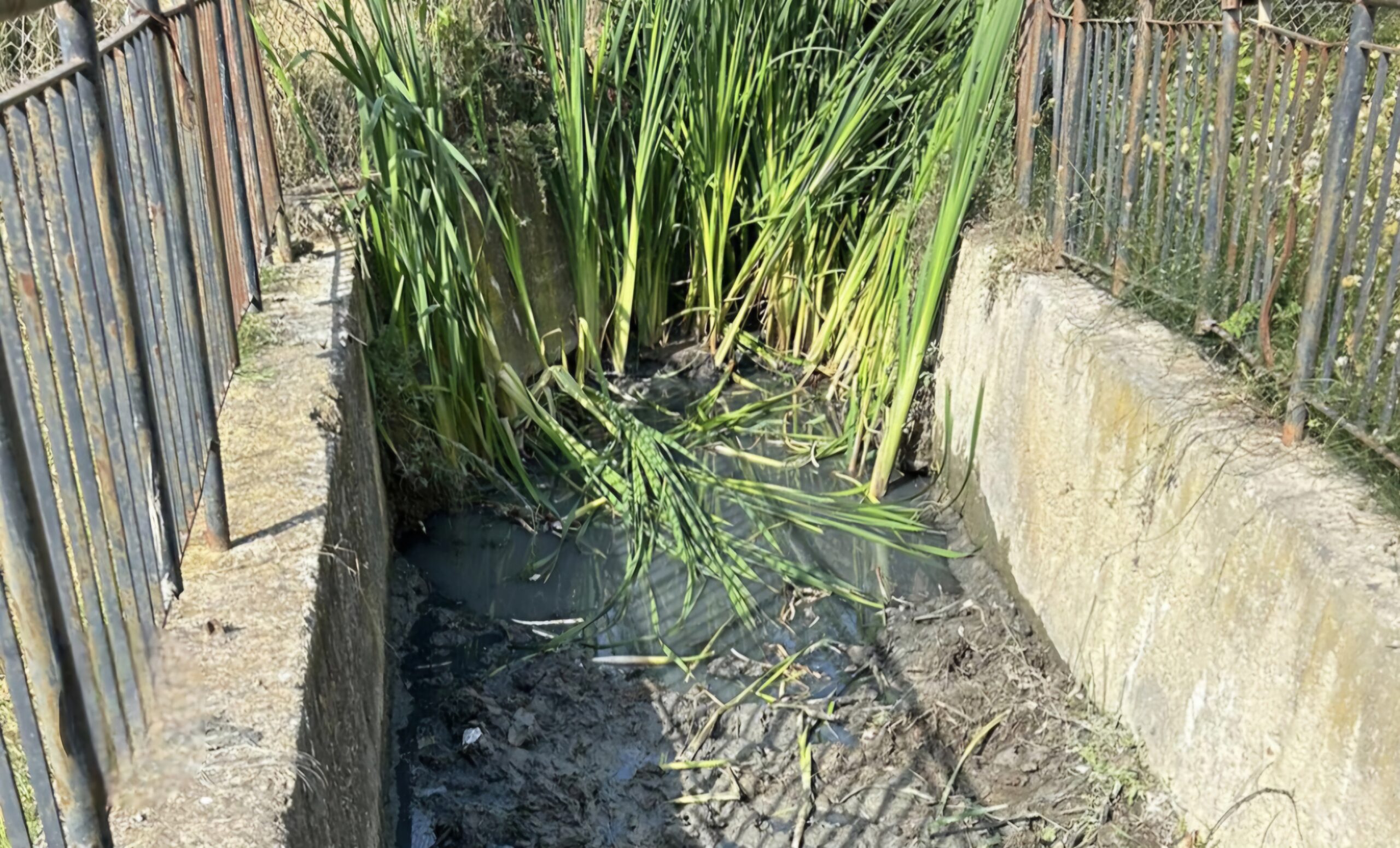 ROSETO, CONCLUSI I LAVORI DI PULIZIA ANTI ALLAGAMENTO DEL CANALE DI VIALE MAKARKSA