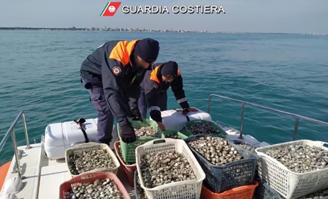 Pesca Illegale di Vongole in Abruzzo: Sequestri e Sanzioni per Oltre 10 Tonnelate di Prodotto. Indagini a Giulianova, Roseto e Martinsicuro