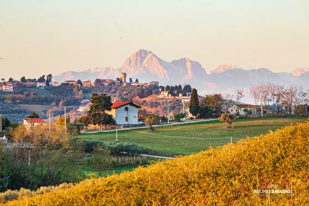 Cologna Paese. Stasera e Domani, Cabaret e teatro dialettale