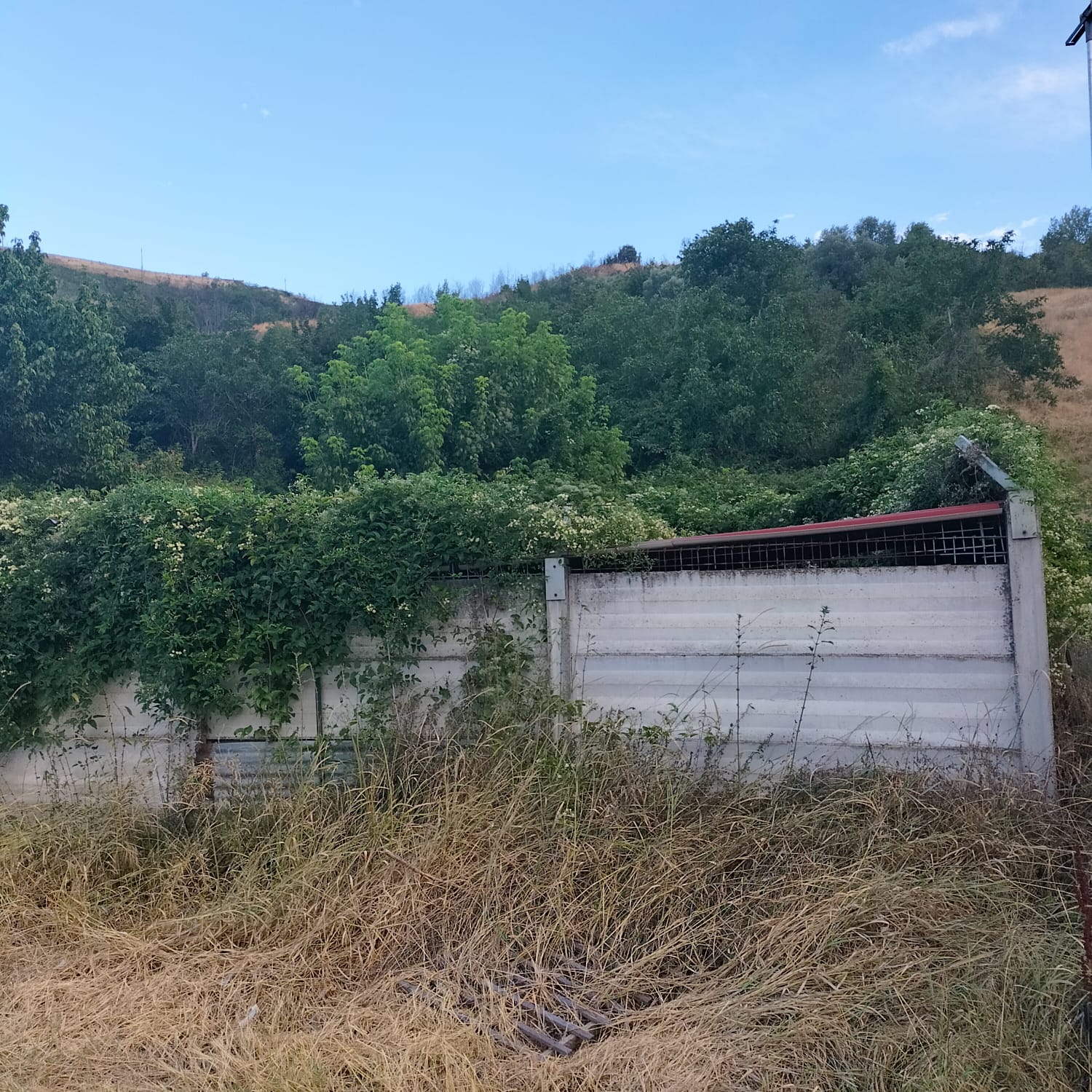 “Canile a rischio incendio”. Teramo Vivi Città inoltra denuncia ai Carabinieri Forestali.