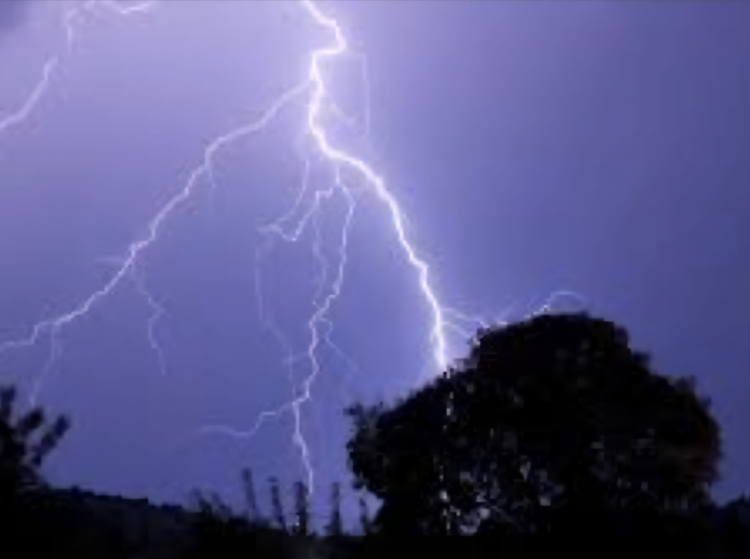Pescasseroli. Fulmine si abbatte su un albero, turisti Romani scaraventati a terra