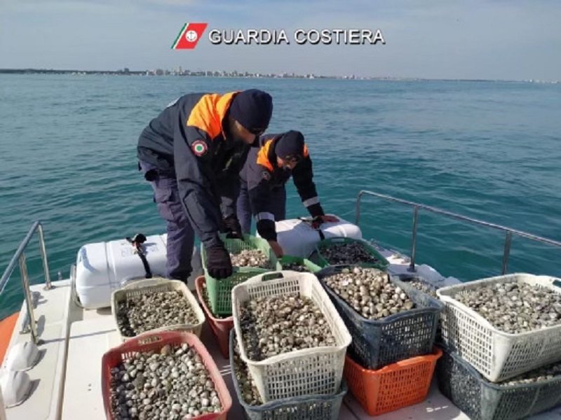 Sequestrati 170 chili di vongole prive di tracciabilità sulla costa di Ortona