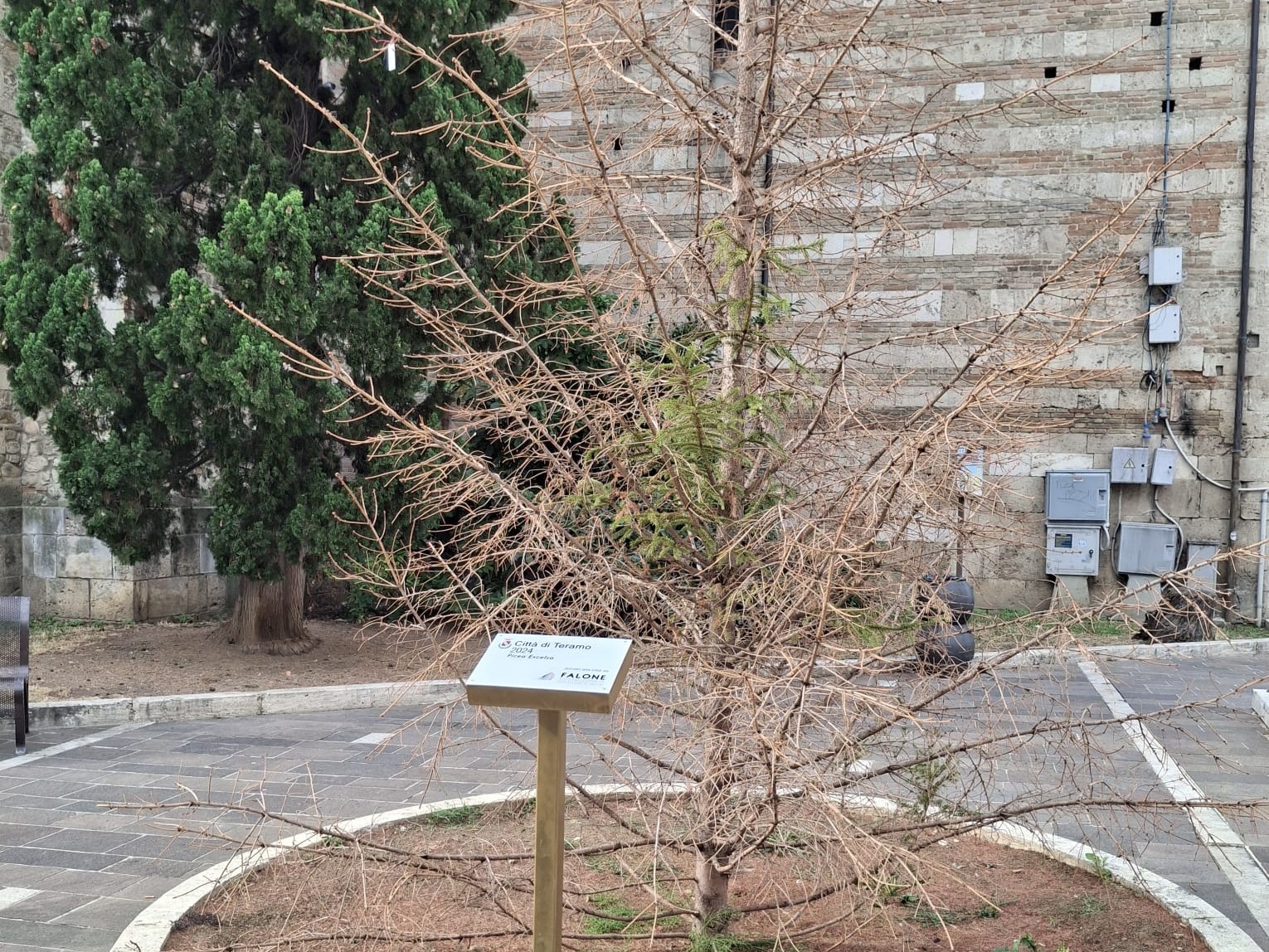 “Spelacchio” lo abbiamo anche a Teramo, e in via Oberdan…