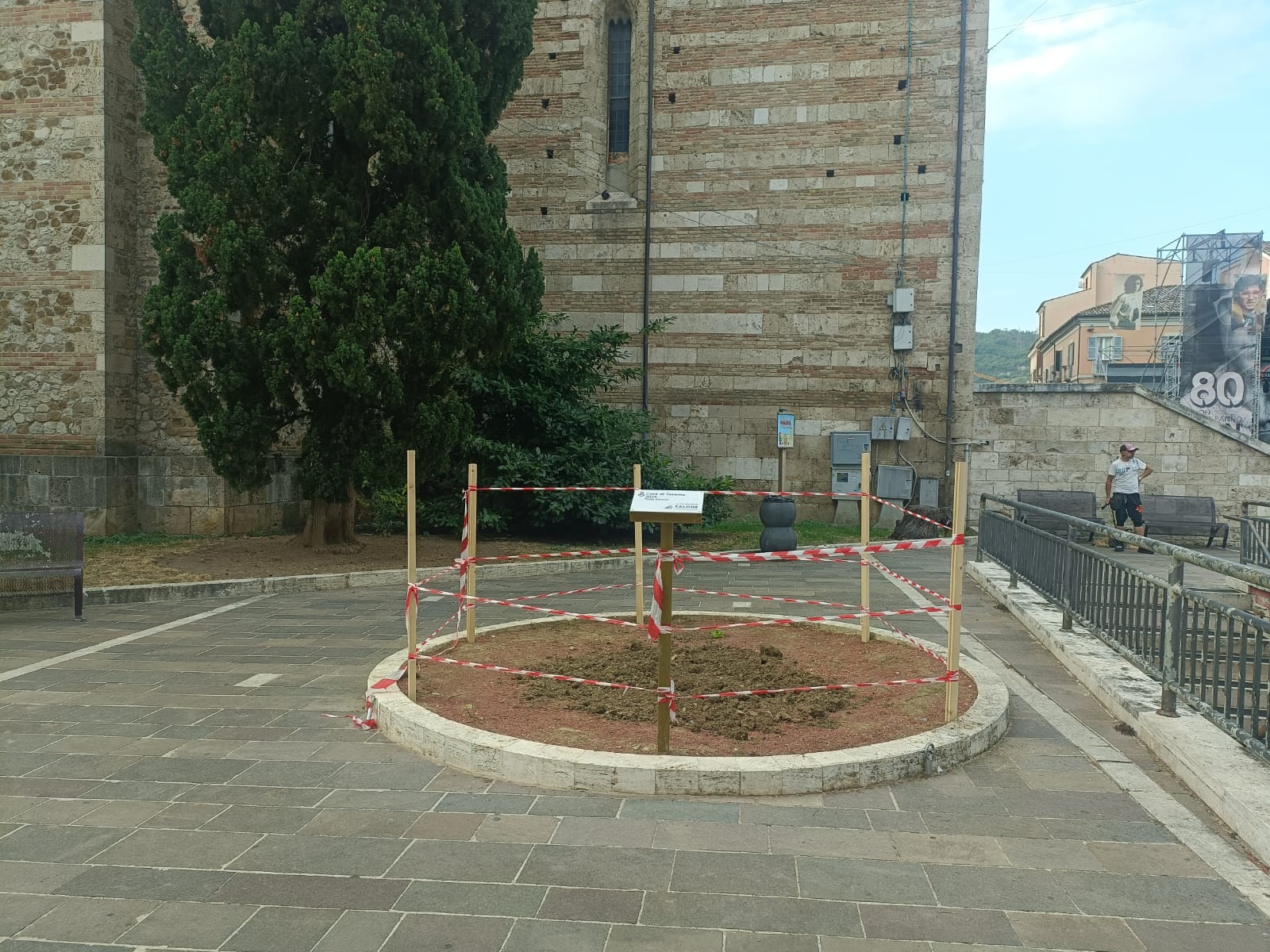Spelacchio teramano non c’è più. Tolto l’albero moribondo in piazza Martiri della Libertà