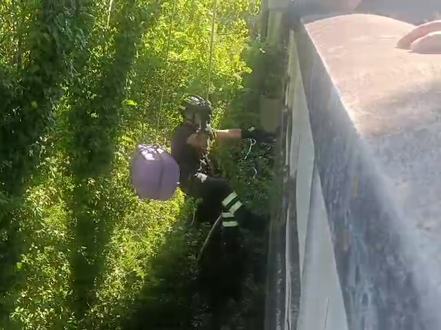 (Video) SOS Micio. I Vigili del Fuoco tentano il recupero di un gatto a Ponte San Ferdinando.