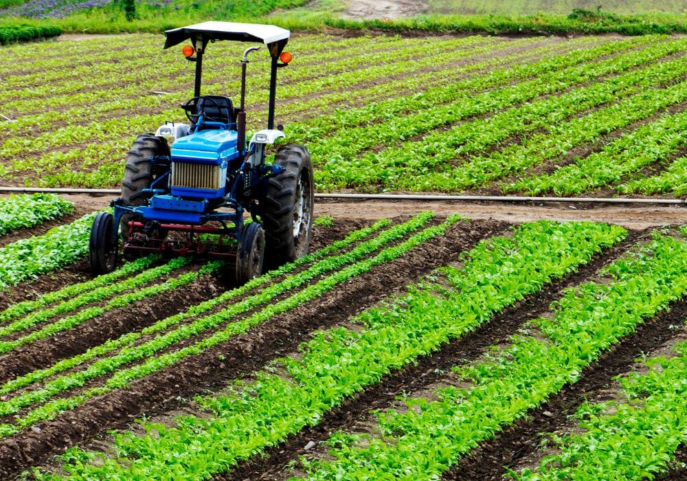 Regione Abruzzo: Interventi Straordinari a Sostegno del Settore Agricolo e Zootecnico