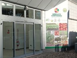 La Filiera Corta Rilancia la Comunità: Promozione al Mercato Contadino Terreverdi Teramane