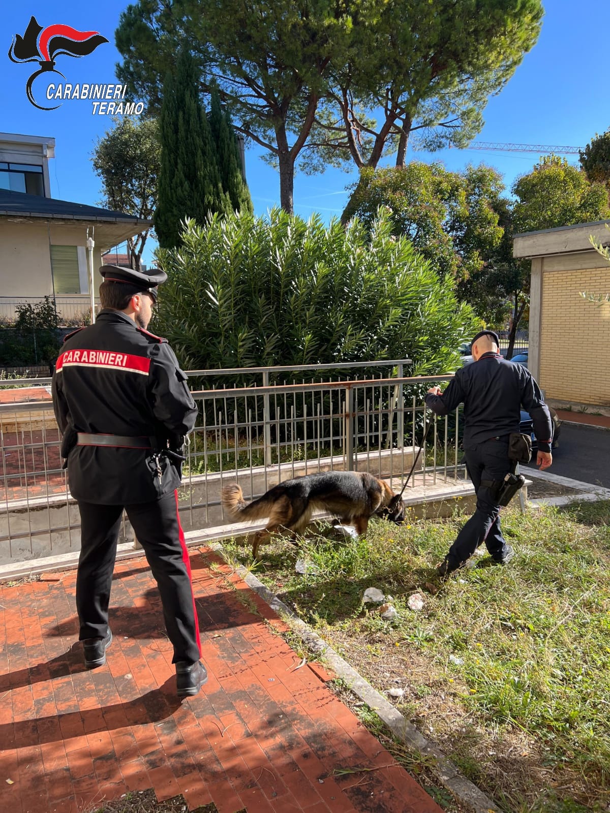 Operazione antidroga “Family Lock”, arrestati madre, padre e quattro figli