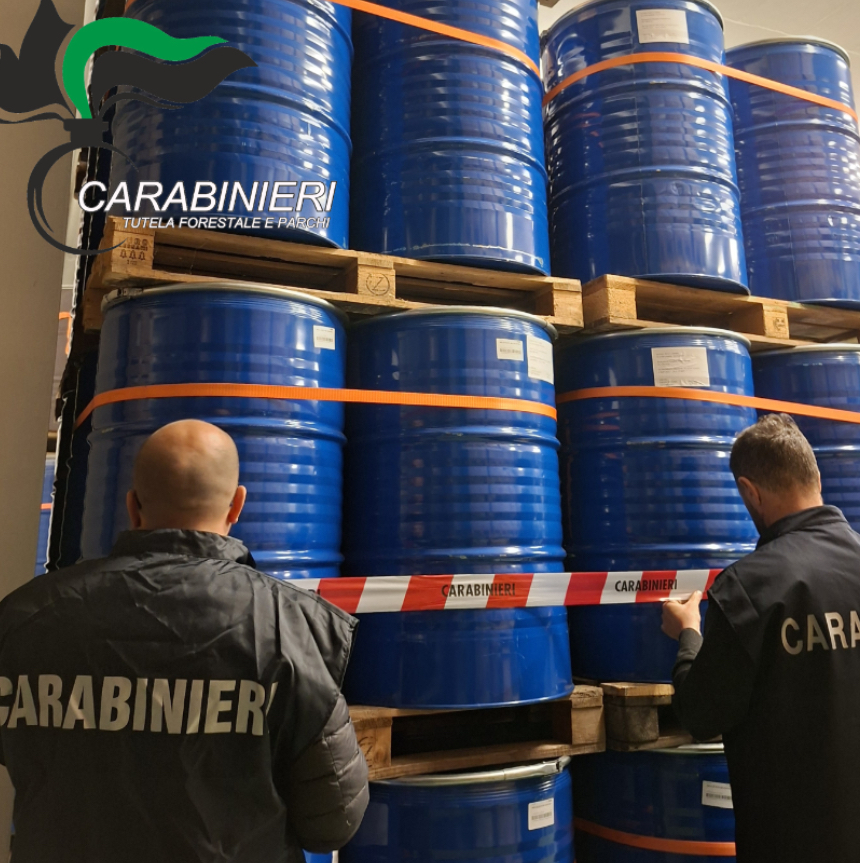 Operazione “Ape Pulita”: scoperta maxi frode nel miele biologico, sequestrate 50 tonnellate