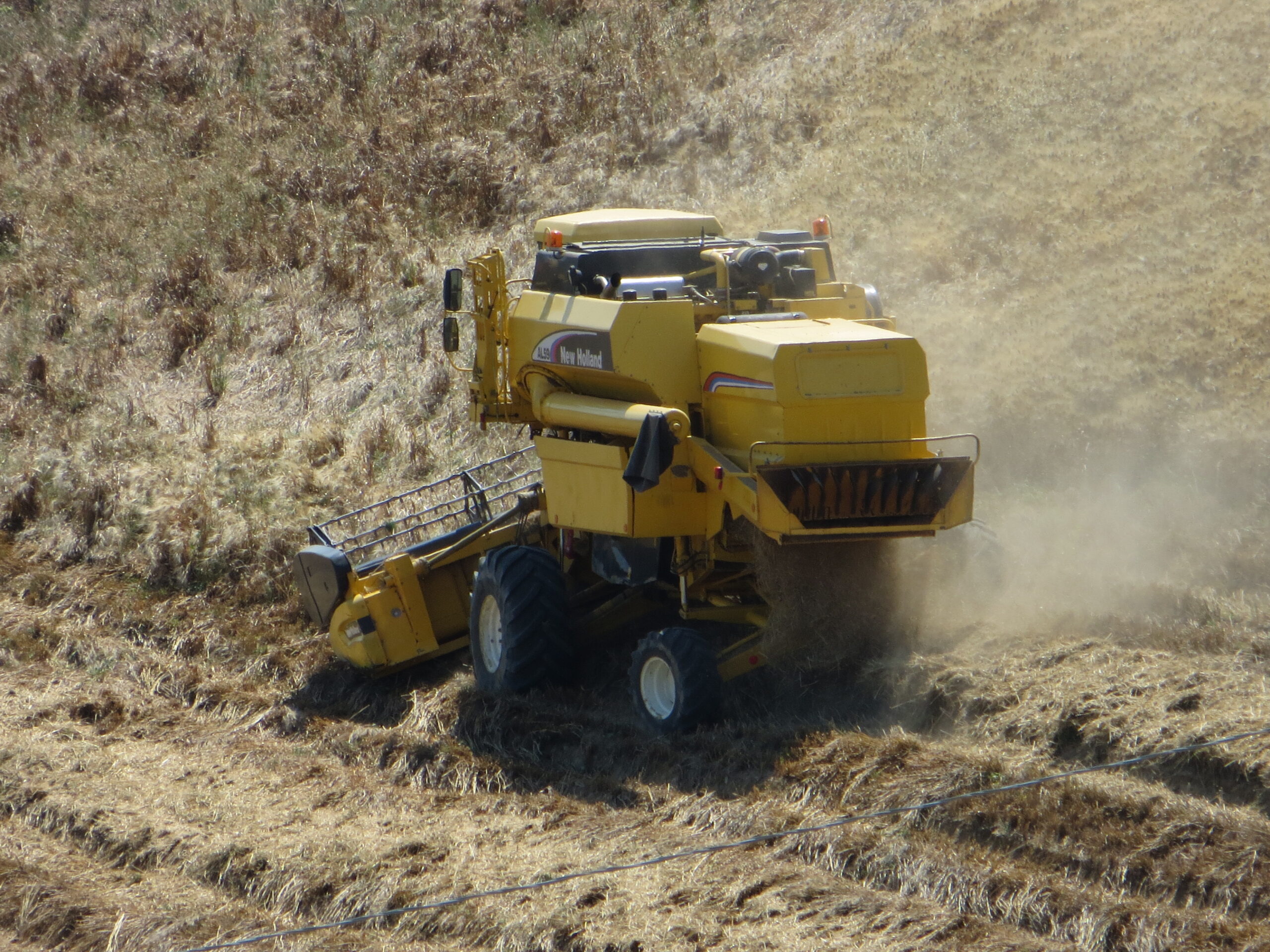 L’Abruzzo Protagonista della Crescita Agricola Nazionale: Dati INPS Svelano un Settore in Forte Dinamismo