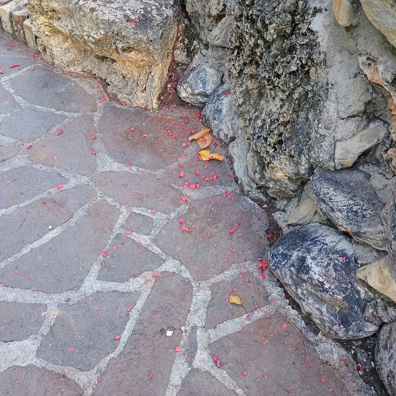 Il TAI, Tutela Animali Invisibili sulle azioni di disturbo agli animali della Villa Comunale