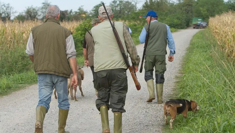 Respinto ricorso ambientalista: confermato il calendario venatorio Abruzzo 2025-2026