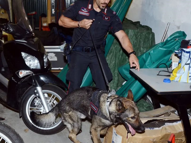 Maxi Blitz Antidroga Tra Abruzzo e Lazio: 17 Indagati e Sequestri Milionari