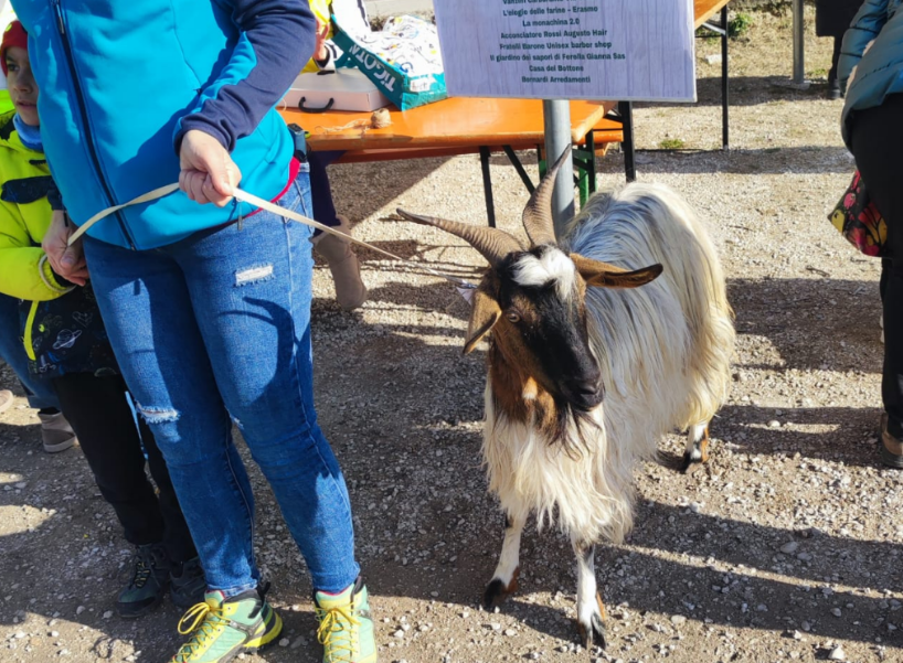 Paganica celebra Sant’Antonio Abate con la benedizione e il concorso degli animali
