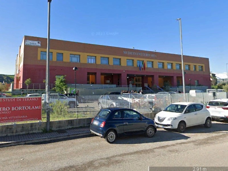 Domenica con il Medico Veterinario: attività e laboratori al Campus di Piano d’Accio