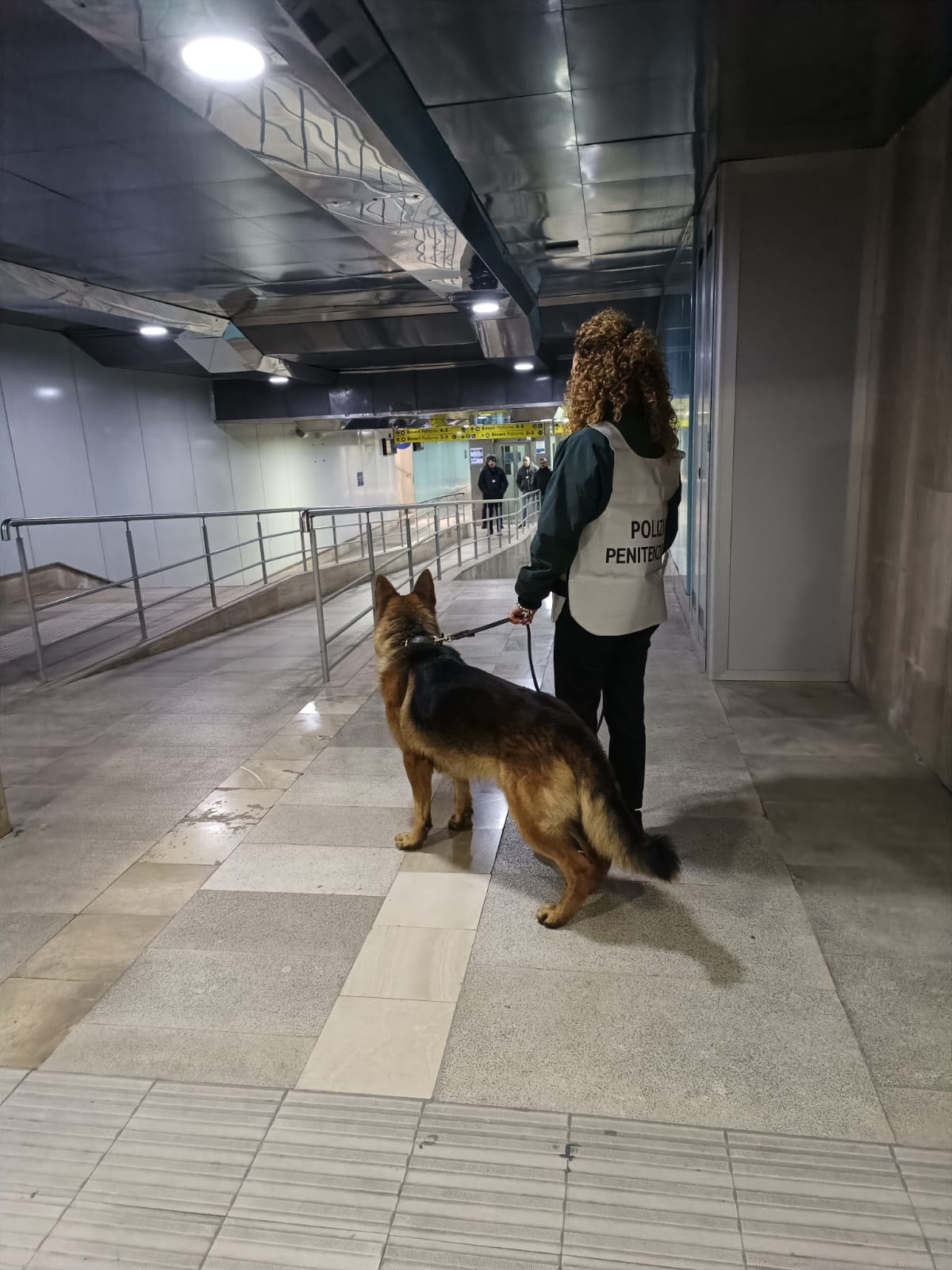 Droga in carcere a Teramo, sequestrato hashish grazie a Naxon, il cane antidroga
