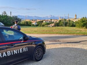Frode e traffico illecito di animali, intervento dei Carabinieri nel Teramano